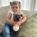 Teddybär Teddy Eddy