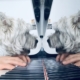 Der Teddy Eddy Song Terrier Lefa am Piano