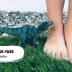 Dinosaurier neben nacktem Fuß.
